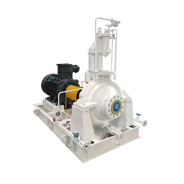 Hot oil circulation pump